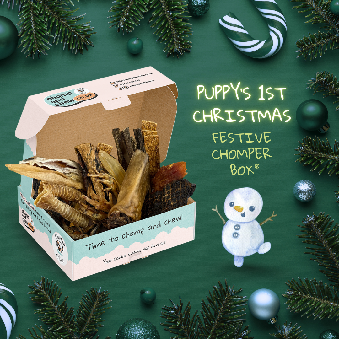 Puppy's First Christmas Festive Chomper Box®