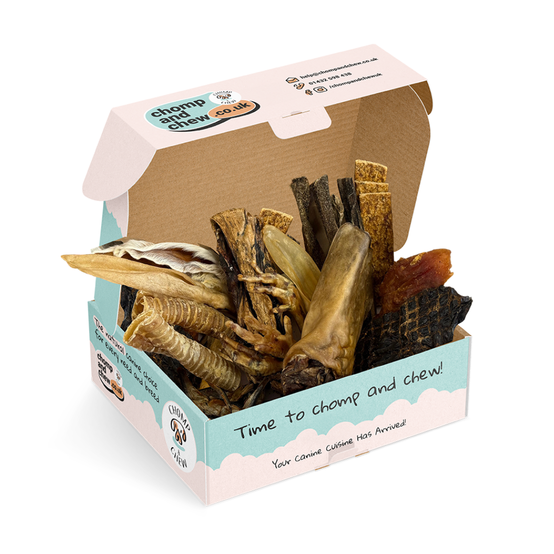 Puppy's First Christmas Festive Chomper Box®