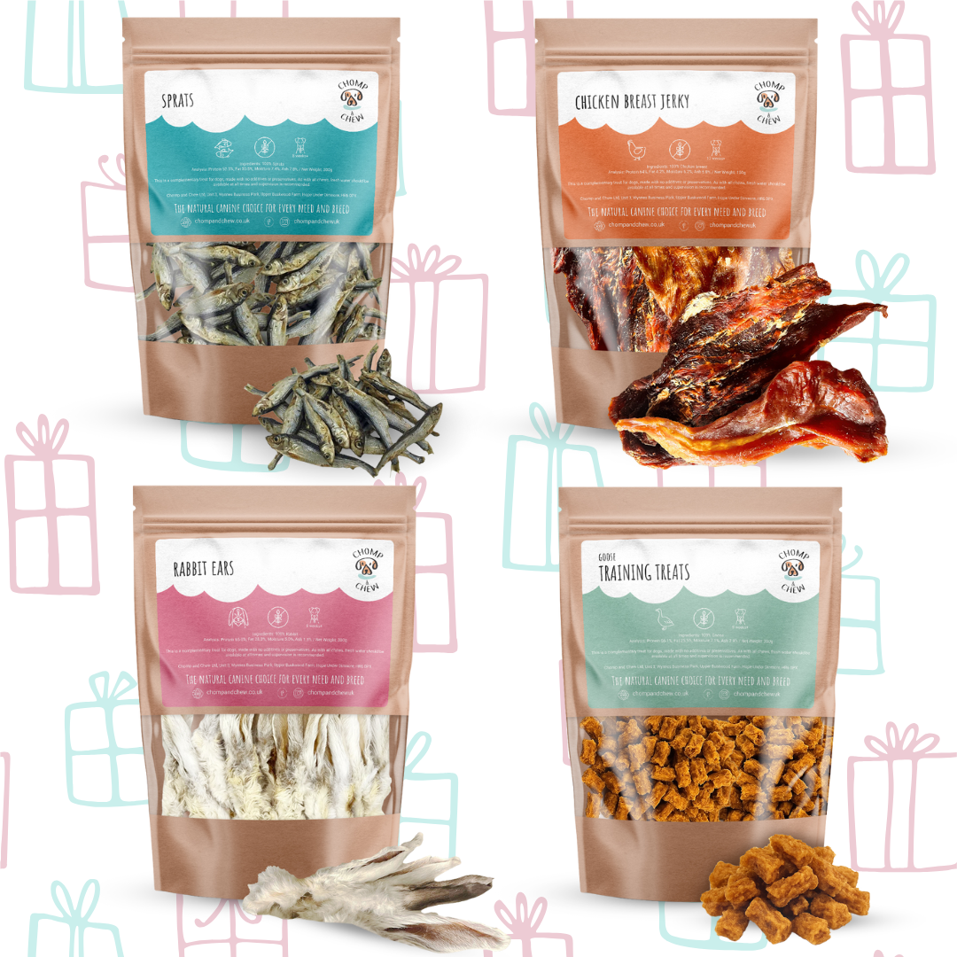 Puppy's First Christmas Bundle