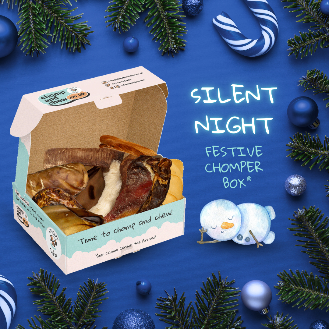 Silent Night Festive Chomper Box®