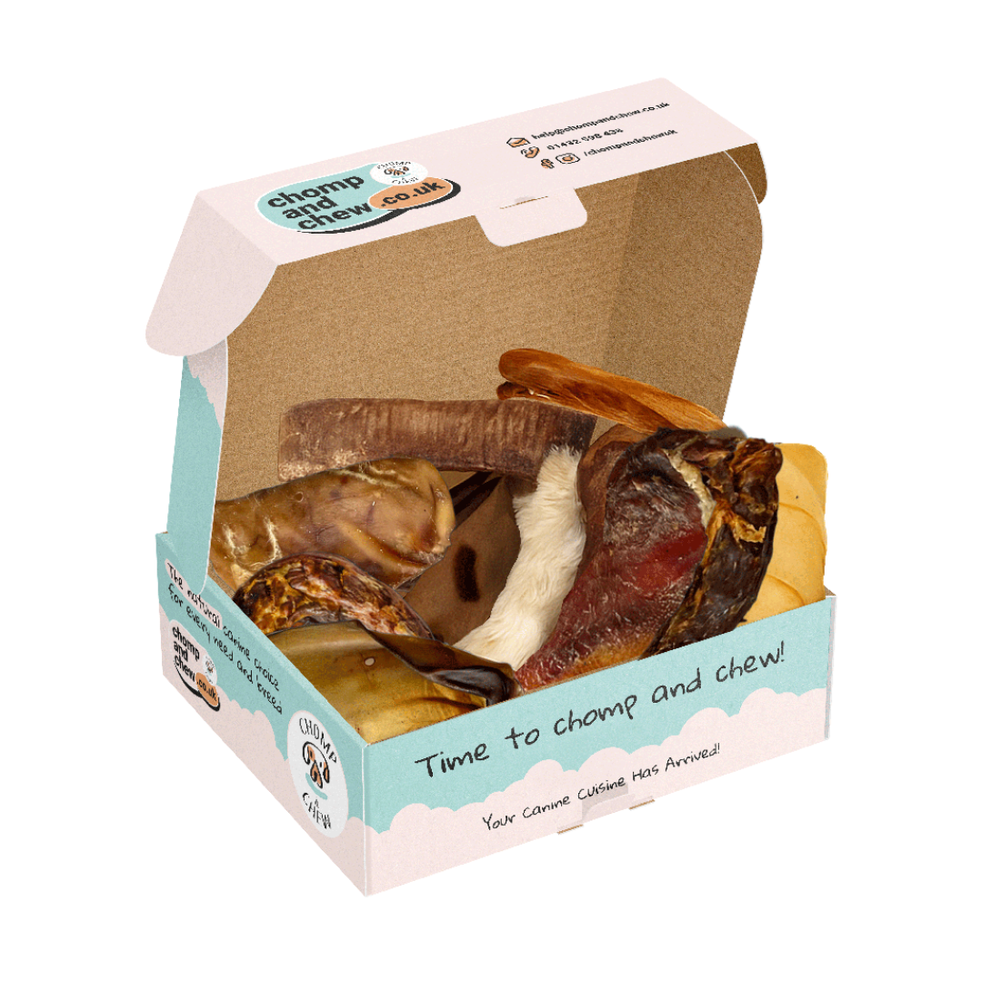 Silent Night Festive Chomper Box®