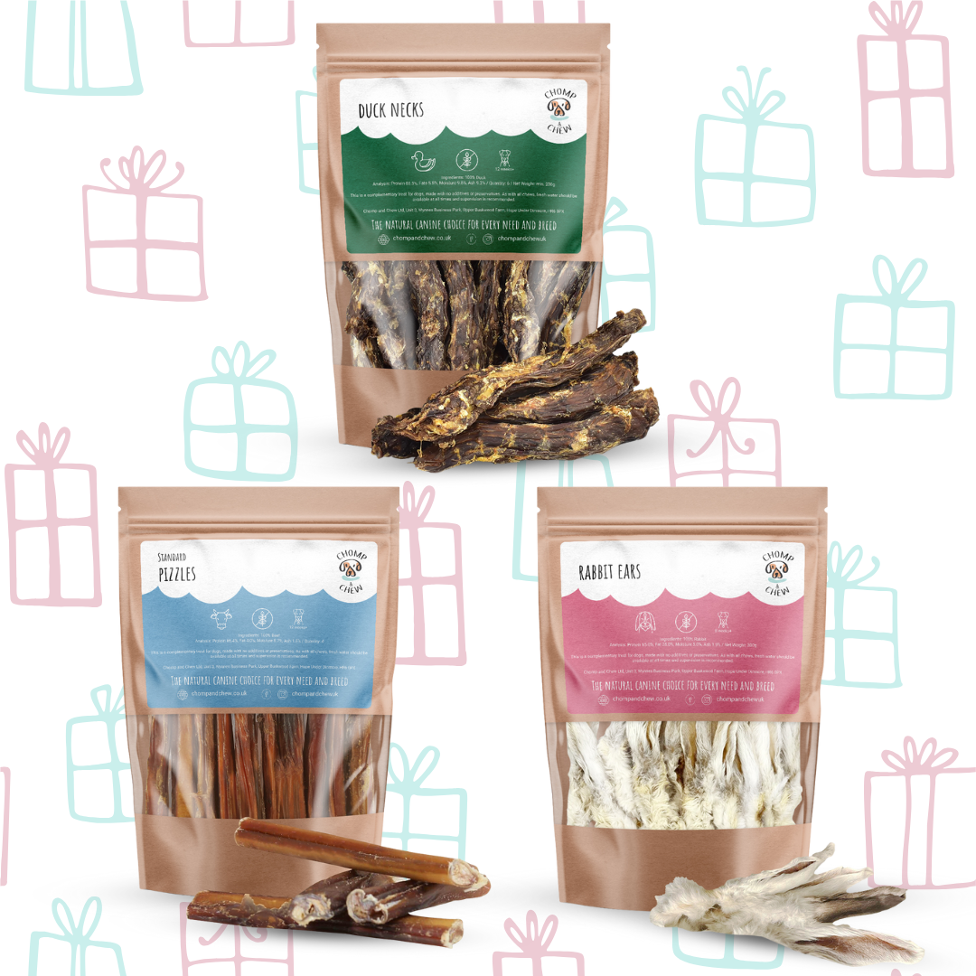 Small Dog Christmas Bundle